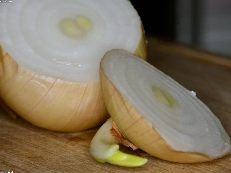 1 cup onion, finely chopped